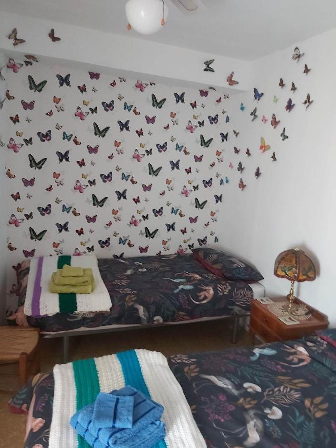Ebro Valley Apartment 埃布罗河畔莫拉 外观 照片