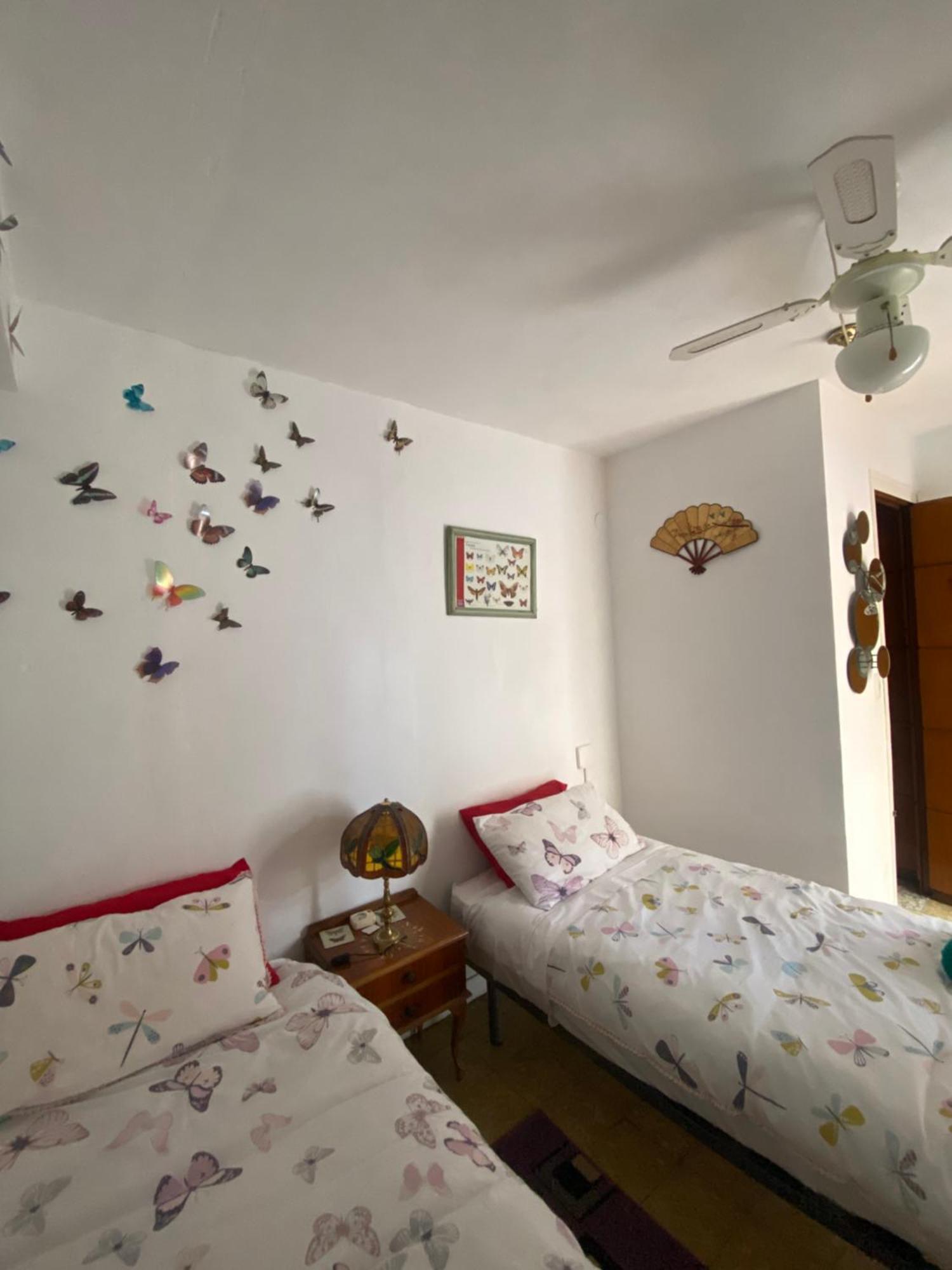 Ebro Valley Apartment 埃布罗河畔莫拉 外观 照片